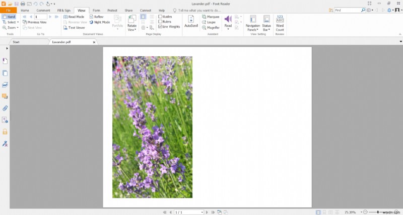 How to Convert HEIC to PDF for Free