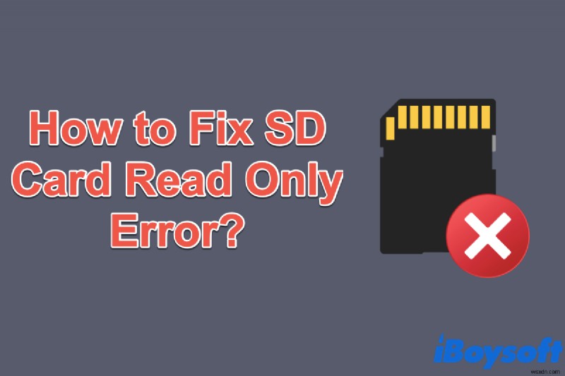 How to Fix SD Card Read Only Error on Windows? Try These Solutions