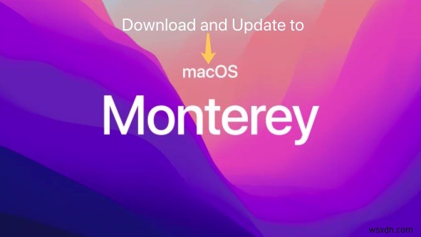 How to Download and Update to macOS Monterey?
