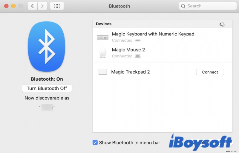 Why and What to Do When Cursor Disappears on Mac (2022)