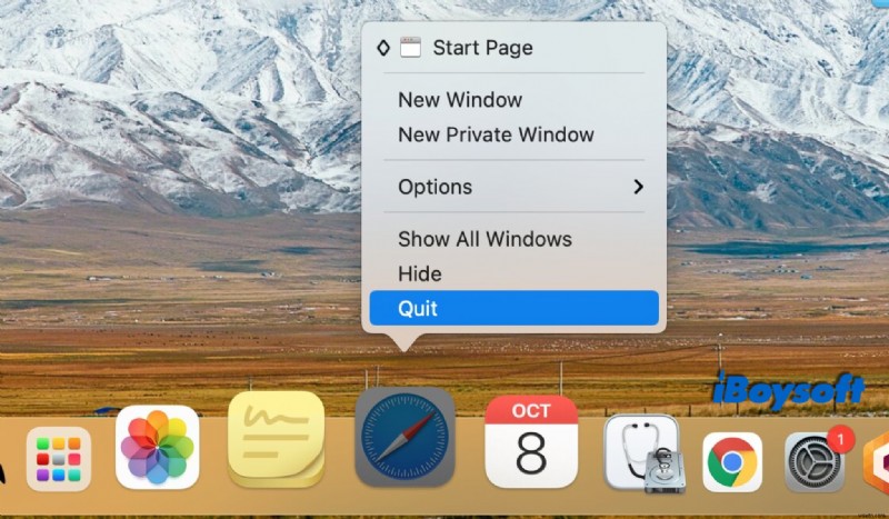 How to Fix Safari Wont Open Issue?