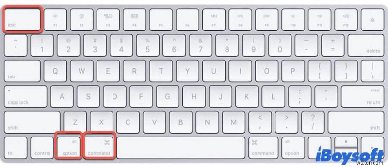 Force Quit Not Working on Mac, How to Force Quit Frozen Apps