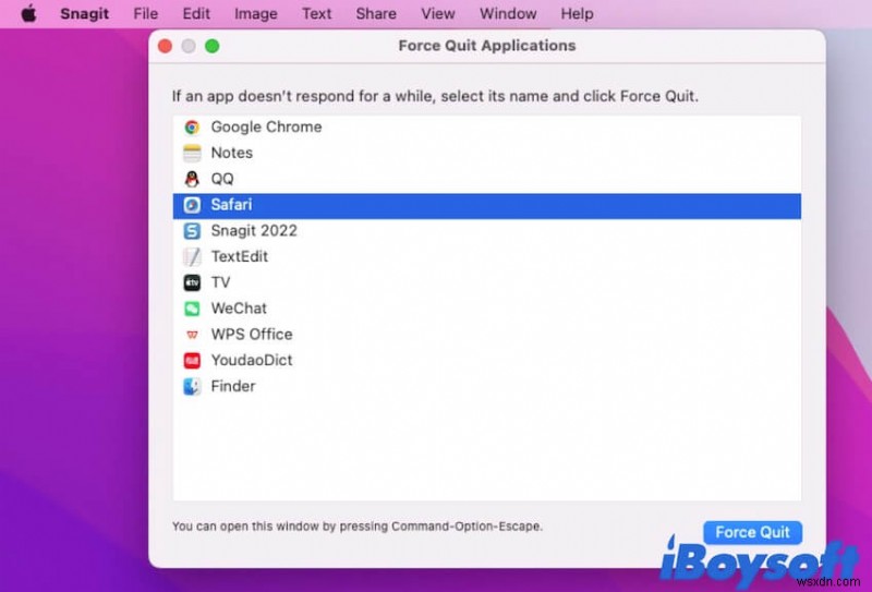 Force Quit Not Working on Mac, How to Force Quit Frozen Apps