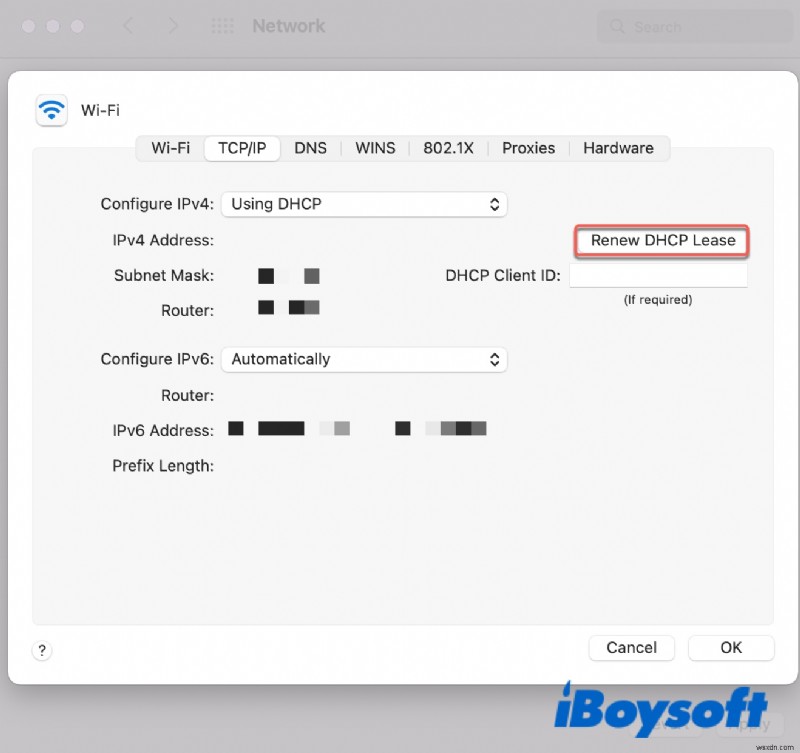 Full Guide to Mac Connected to WiFi but No Internet (Why)