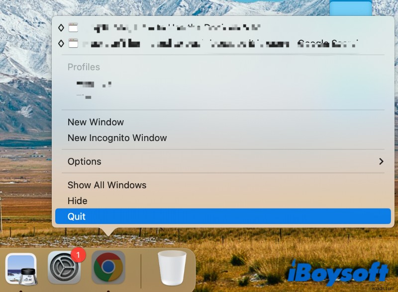 Mac Says the Item Cant Be Moved to the Trash Because Its Open, How to Fix?