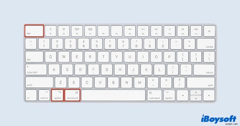 Mac Says the Item Cant Be Moved to the Trash Because Its Open, How to Fix?