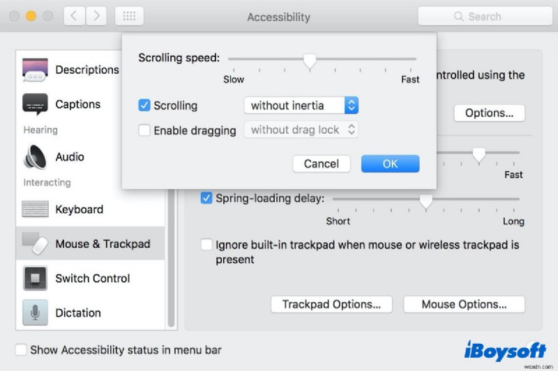 Apple Magic Mouse Not Scrolling, How to Fix?