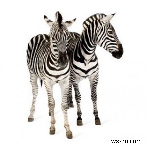 How to Delete Duplicate Files