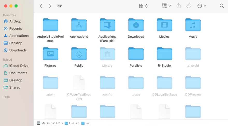 How to Show Hidden Files on a Mac: All the Methods