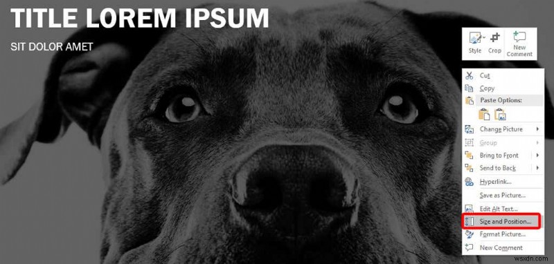 15 PowerPoint Tips & Tricks To Improve Your Presentations