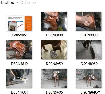 How to Bulk Resize Photos Using Windows 10