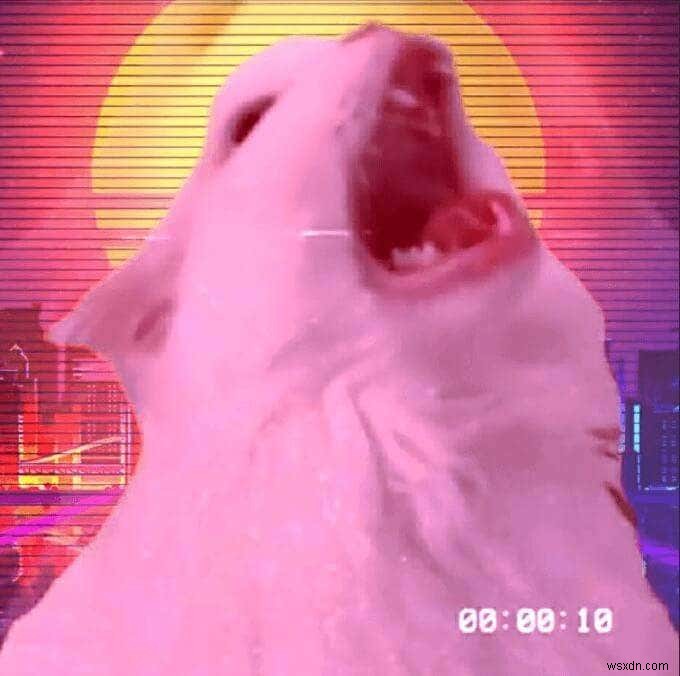 15 Best Animated Wallpapers for Windows 10