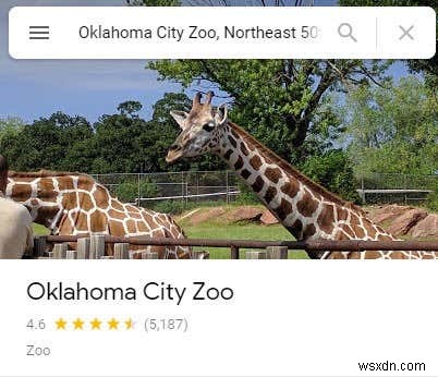 What Is Local Guides for Google Maps?