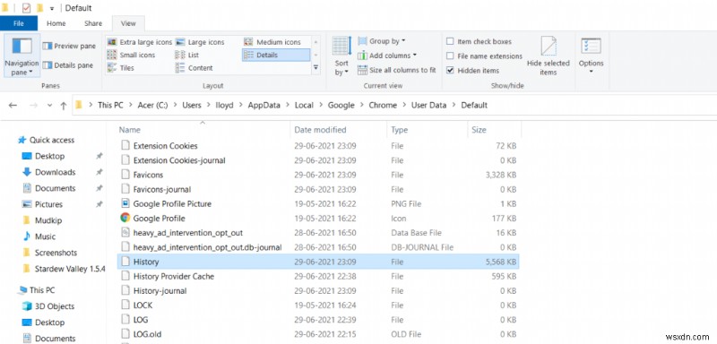 How to Backup Google Chrome History