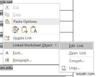 Insert an Excel Worksheet into a Word Doc