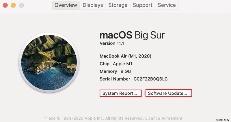 Fix macOS Big Sur Problems