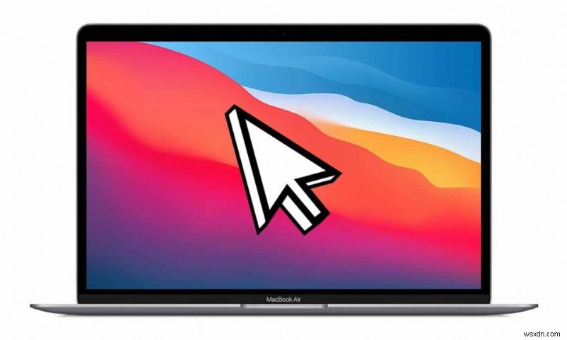 12 Ways to Fix Mac Cursor Disappears