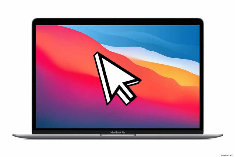 12 Ways to Fix Mac Cursor Disappears