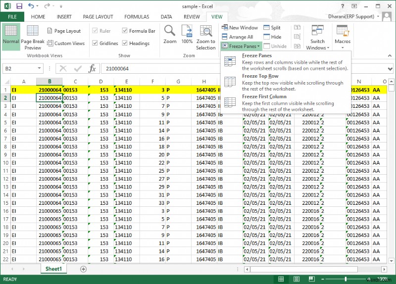 How to Freeze Rows and Columns in Excel