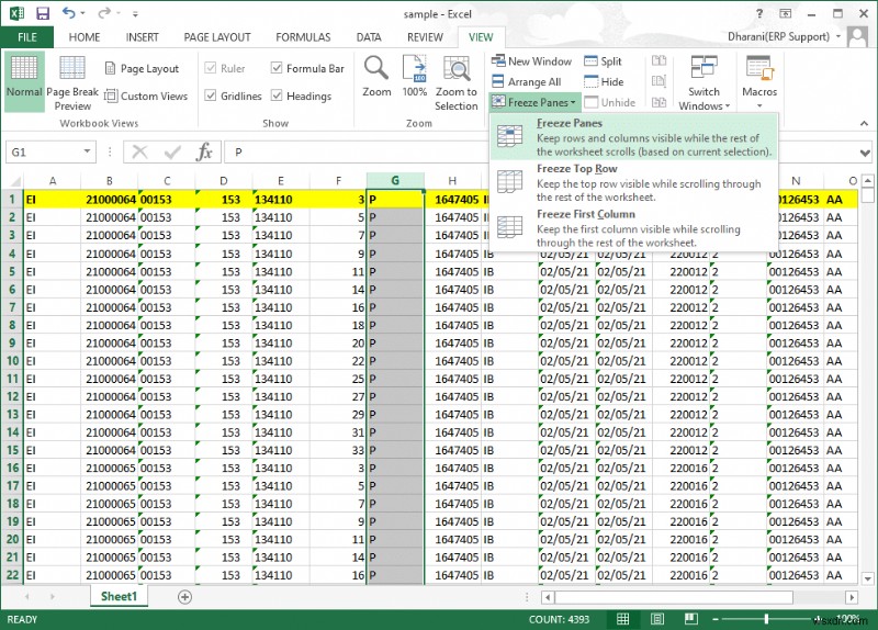 How to Freeze Rows and Columns in Excel