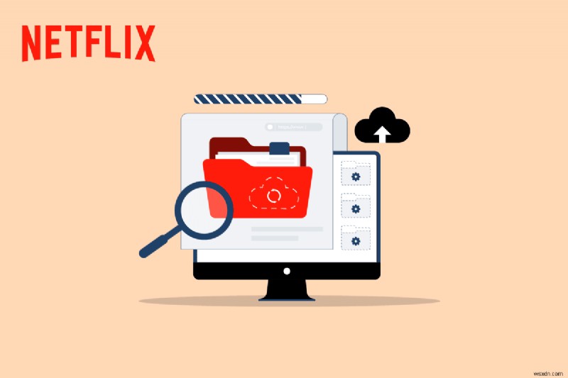 Fix Issues in Netflix Stored Data