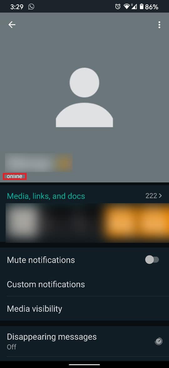 How to Check if someone is Online on Whatsapp without going Online