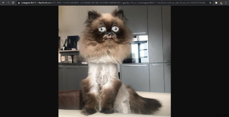 How to View Full Size Instagram Photos