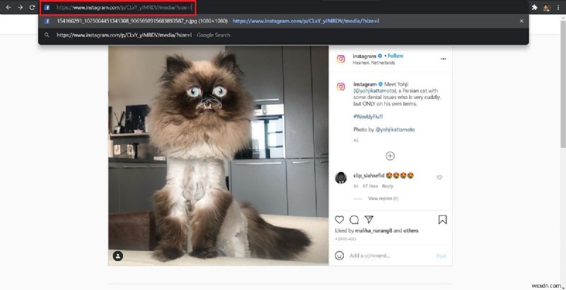 How to View Full Size Instagram Photos