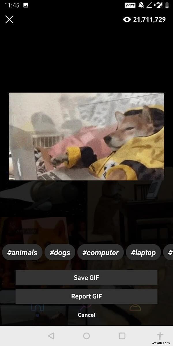 4 Ways to Save GIFs on Android Phone