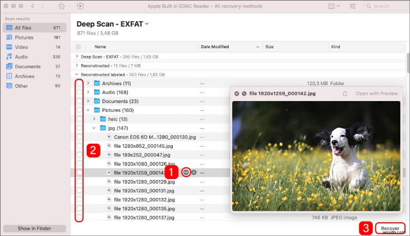 RAW SD Card Recovery: Recover Data From a RAW SD Card