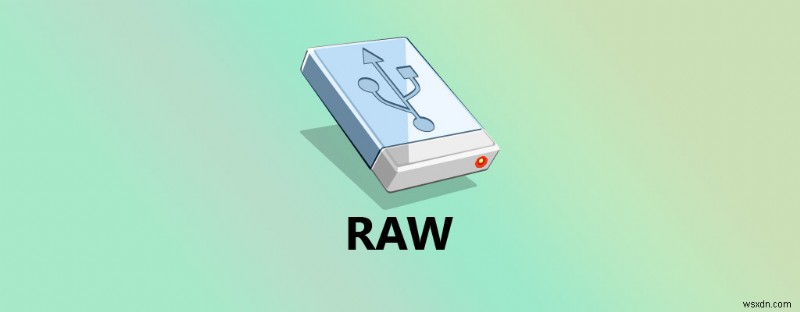 How to Recover Files From a RAW External Hard Drive