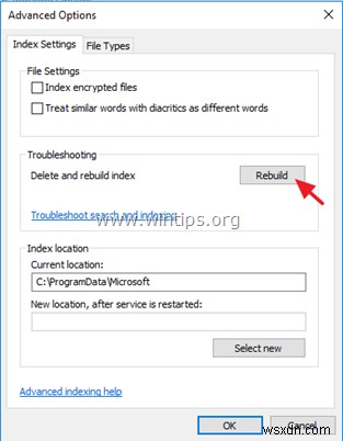 FIX: Cortana Search Returns No Results (Solved)