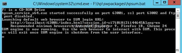 How to Use HP Smart Update Manager to Update ProLiant Server.