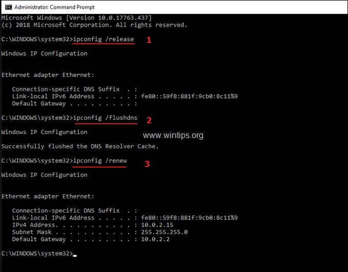 FIX: Microsoft Store Error 0x800704cf – It Doesnt Look Like youre Connected to the Internet. (Solved)