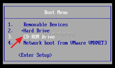 How to Install vSphere ESXi 6.7 on a Bare Metal Server.
