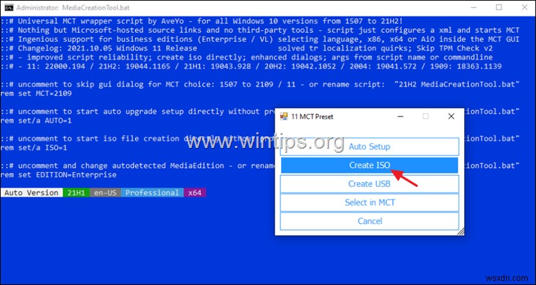 How to Download Windows 11 ISO or USB.