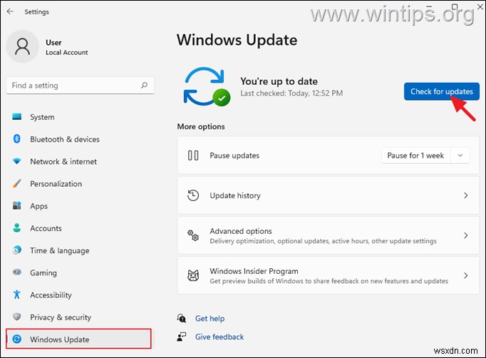 FIX: Windows 11 Search not working and returns no results.