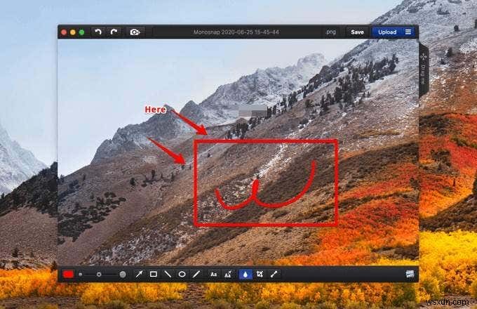 5 Best Snipping Tool Alternatives for Mac