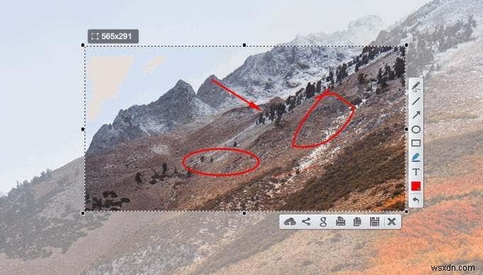5 Best Snipping Tool Alternatives for Mac