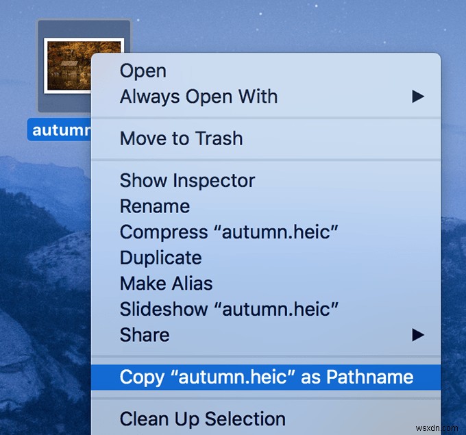 5 Ways To Reveal The Path Of a File On MacOS