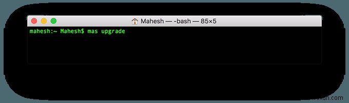 How To Update Mac OS X & Mac Apps From Terminal