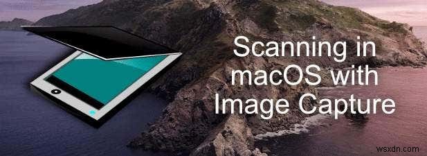 How to Scan With Image Capture on Mac