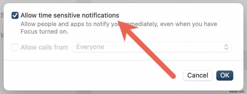 iPhone “Time Sensitive” Notifications: What They Are and How to Use
