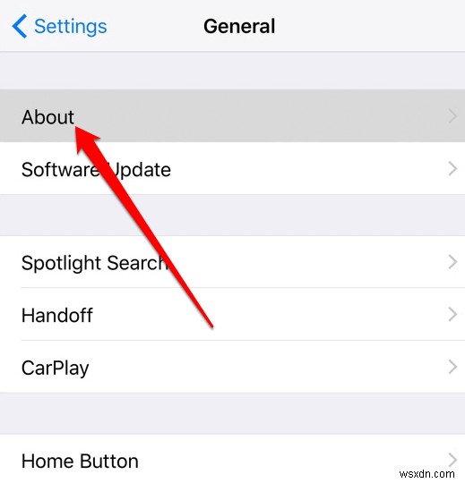 How to Screen Record on iPhone
