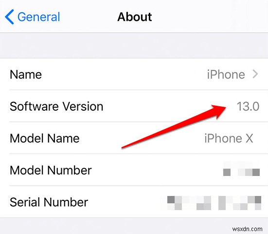 How to Screen Record on iPhone