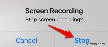 How to Screen Record on iPhone