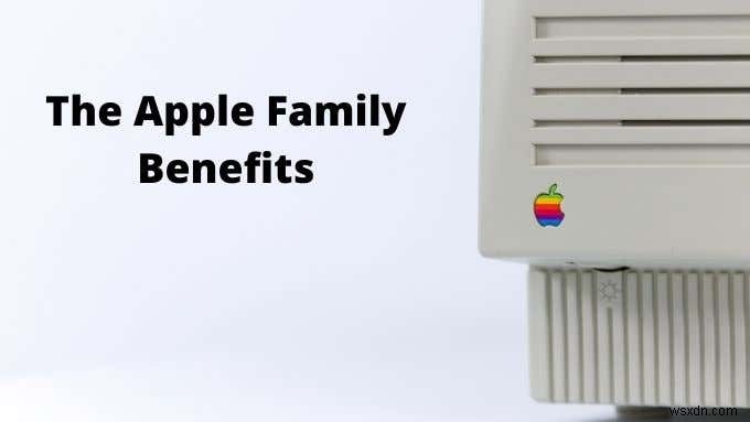 Are AirPods Worth It?