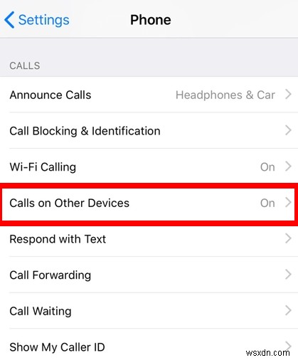 How to Make Calls With WiFi Calling on iPhone