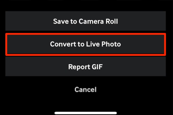How to Turn a Video Into a Live Photo