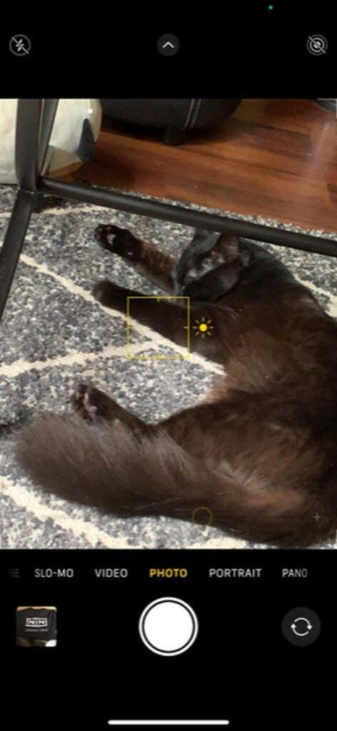 How to Take Professional Photos With Your iPhone